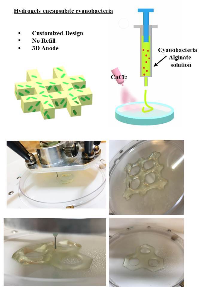 3-D printed bioelectronics system with layered microbial structure